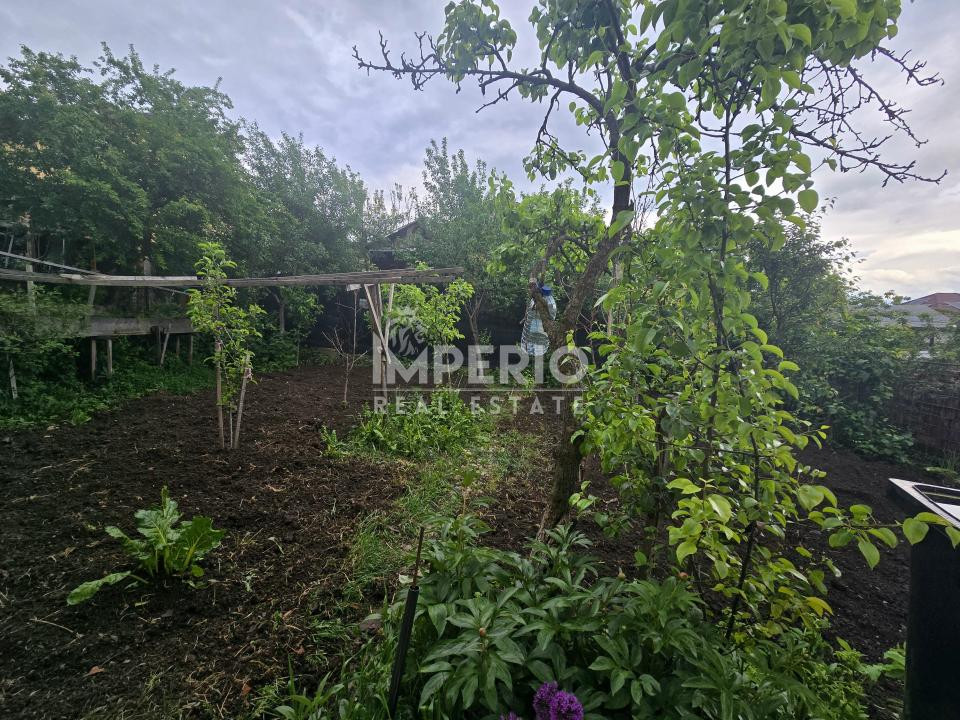 Casa individuala de vanzare | 477 mp teren | Dambul Rotund