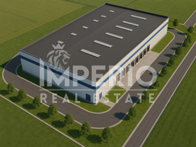 Teren pentru constructie hala in Dezmir - NU NECESITA PUZ!
